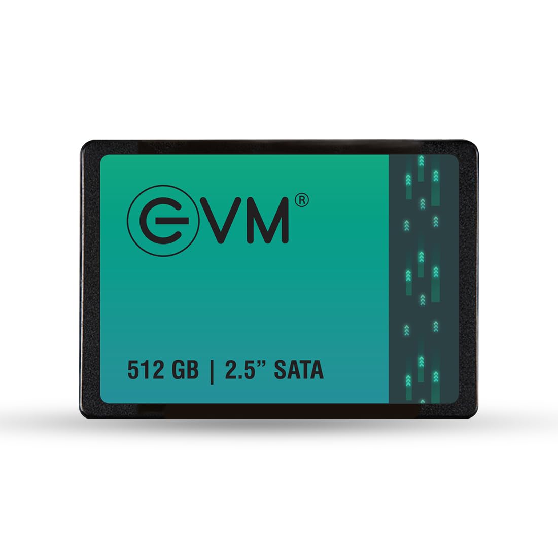 EVM 512 gb SSD